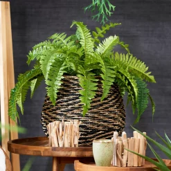 CASA Boston Planta Helecho Verde Online