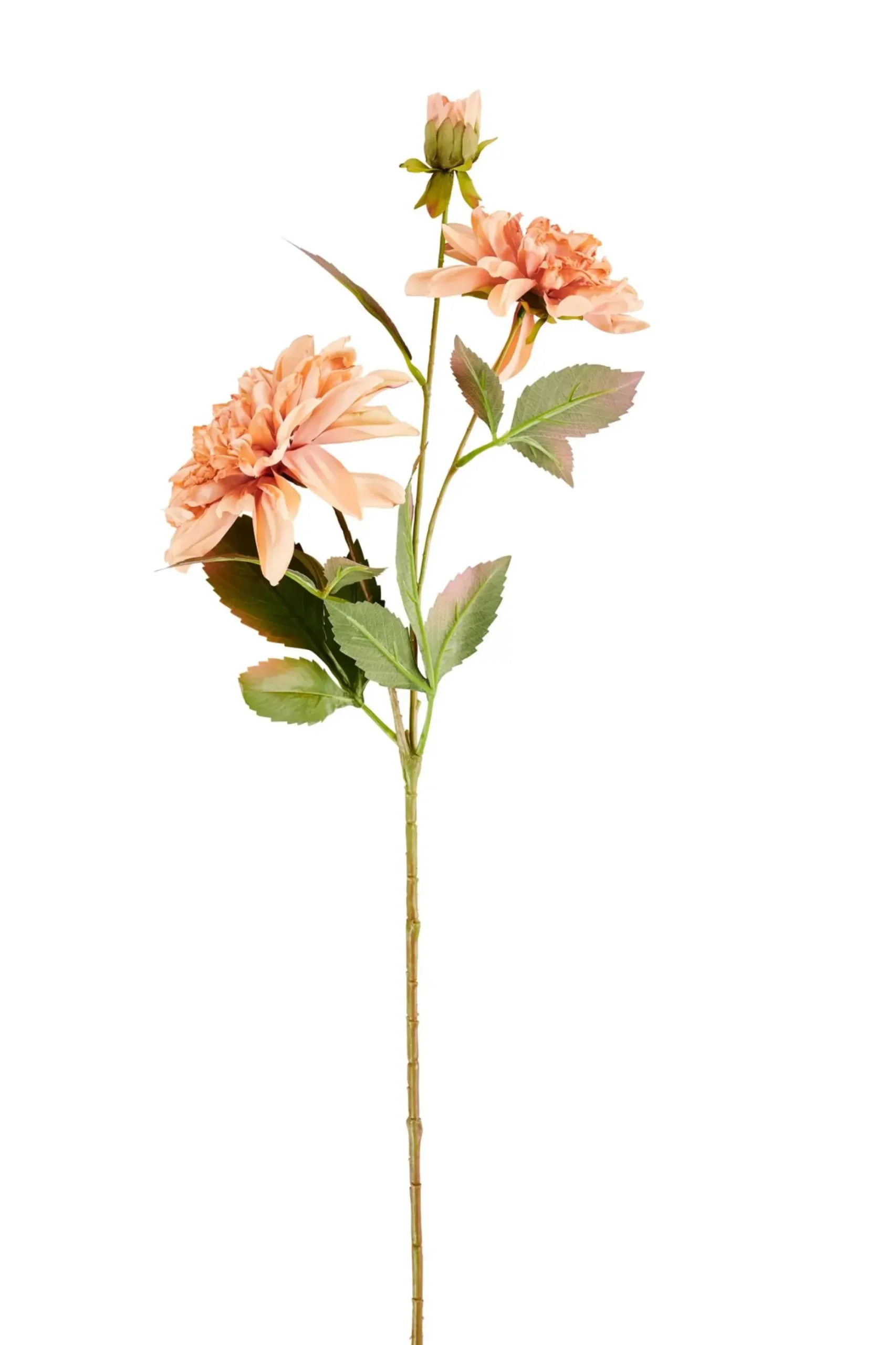 CASA Dahlia Rama De Flores Melocoton Clearance