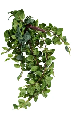 CASA Fittonia Guirnalda De Hojas Verde Clearance