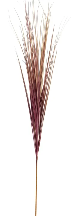 CASA Grass Haz De Hierba Rojo Cheap