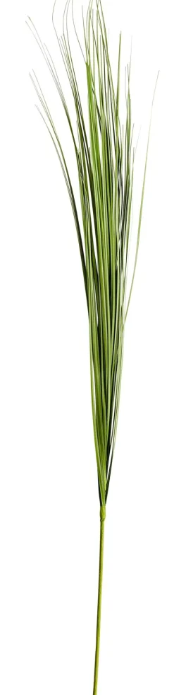 CASA Grass Haz De Hierba Verde Clearance