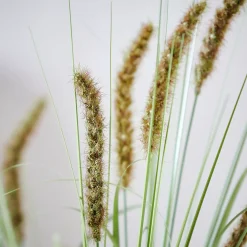 CASA Grass Tallo De Carrizo Artificial Verde Outlet