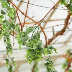 CASA Green Rama Sintetico Verde Best Sale