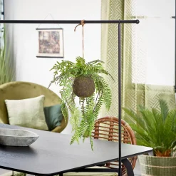 CASA Greenery Macetero Colgante Con Helecho Verde Discount