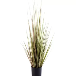 CASA Herba Hierba En Maceta Verde Discount