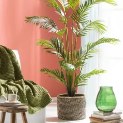 CASA Kwai Palma Verde Online