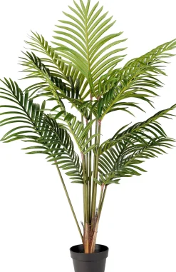 CASA Kwai Palmera Verde Cheap