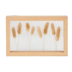 CASA Lagurus Decoracion De Pared Natural Outlet