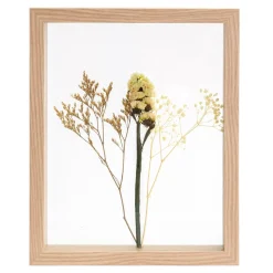 CASA Limonium Decoracion De Pared Natural Sale