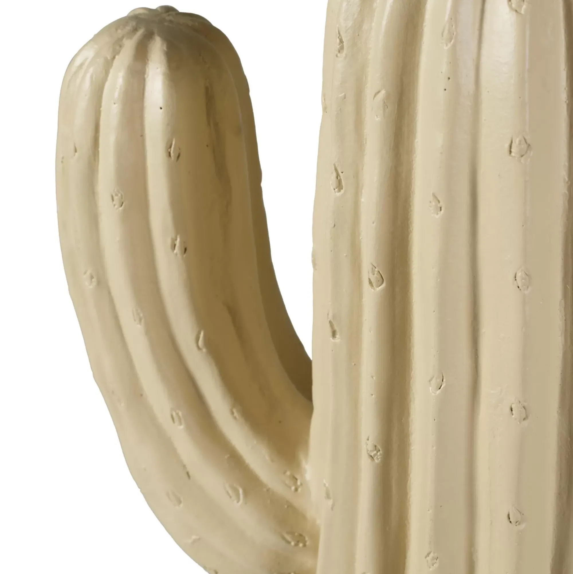 CASA Magnesia Cactus Crema Sale