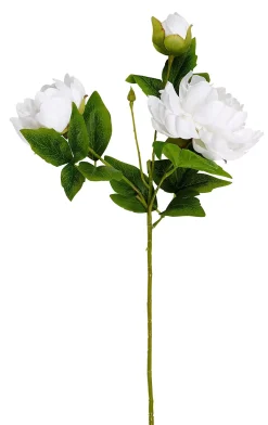 CASA Peony Rosa Peonia Blanco Best Sale