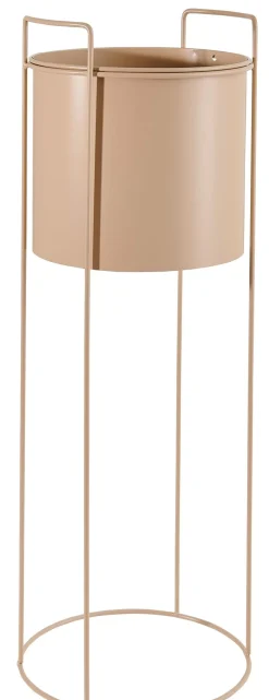 CASA Pluto Crema Best