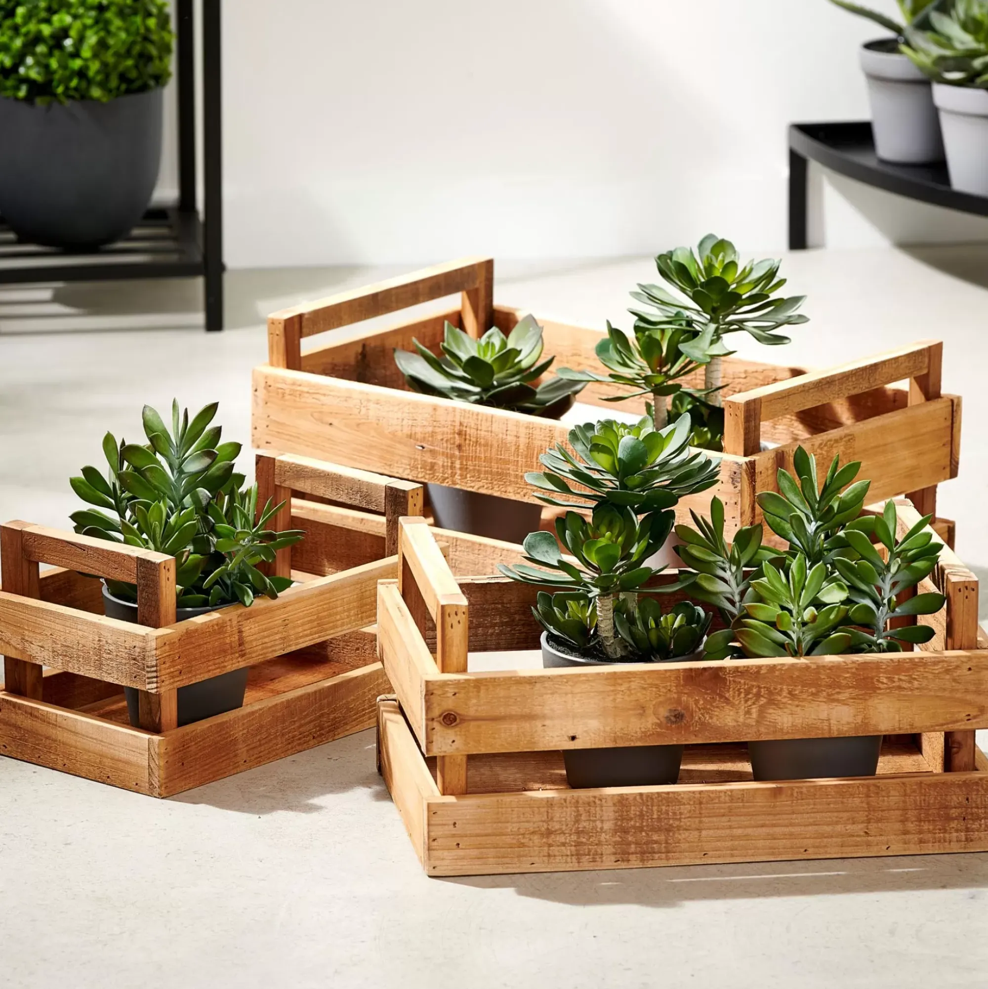 CASA Recycle Cajita Natural New