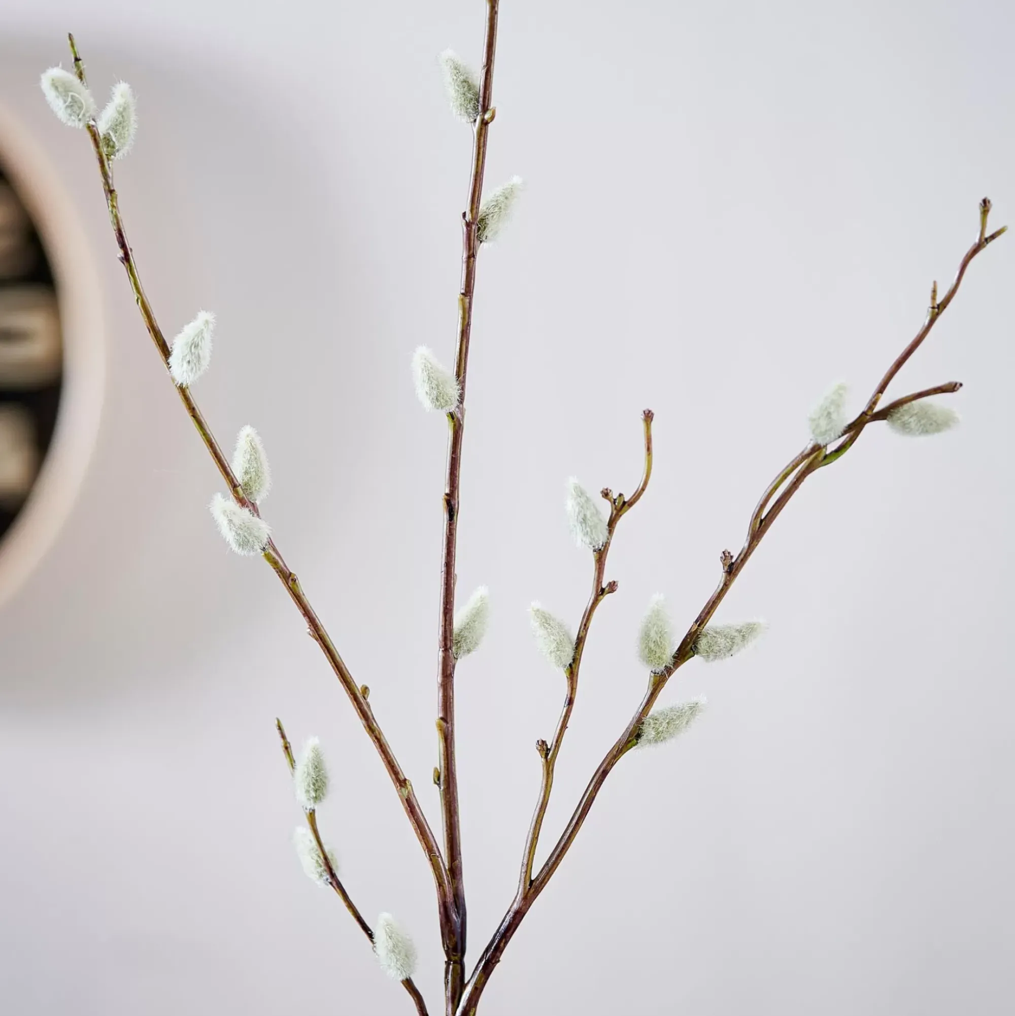 CASA Salica Rama Sintetico Verde Sale