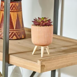 CASA Stripe Planta Crasa Art En Tarro Multicolor Cheap