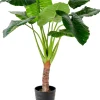 CASA Taro Planta Artificial Aro Verde Best