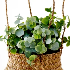 CASA Terra Planta En Maceta Blanco, Verde Cheap