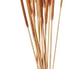 CASA Typha Canas Juego De 15 Natural Cheap