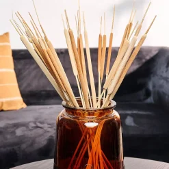 CASA Typha Canas Juego De 15 Natural Cheap