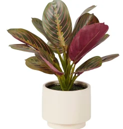 CASA Zebrina Planta Artificial Flash Sale